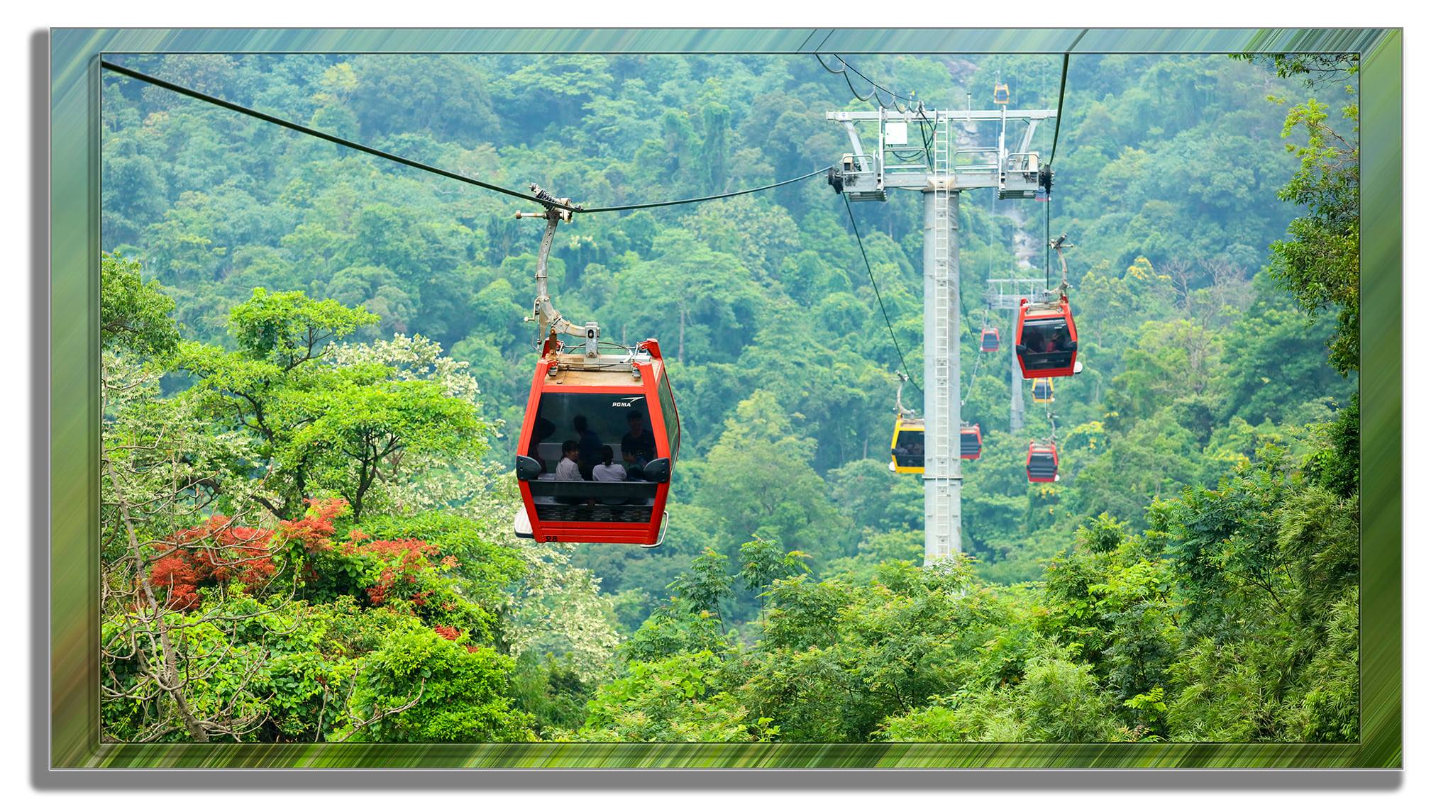 Lịch phục vụ du khách trong tình hình hình dịch mới