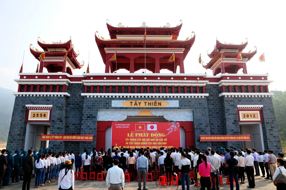 Khu danh thắng Tây Thiên trồng hoa Anh đào Nhật Bản vào dịp Tết trồng cây